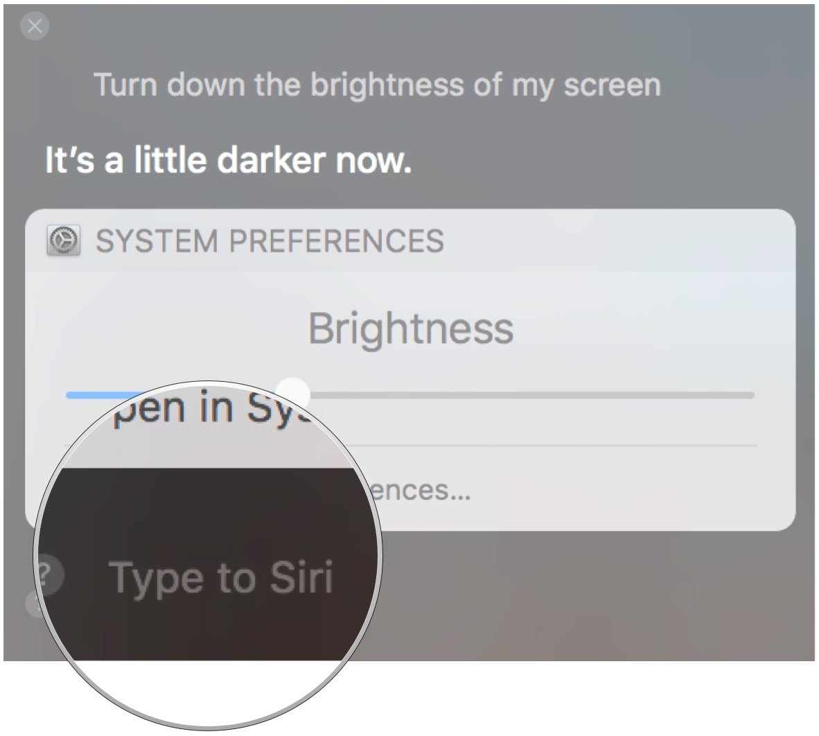 Click o Type to Siri and start typing