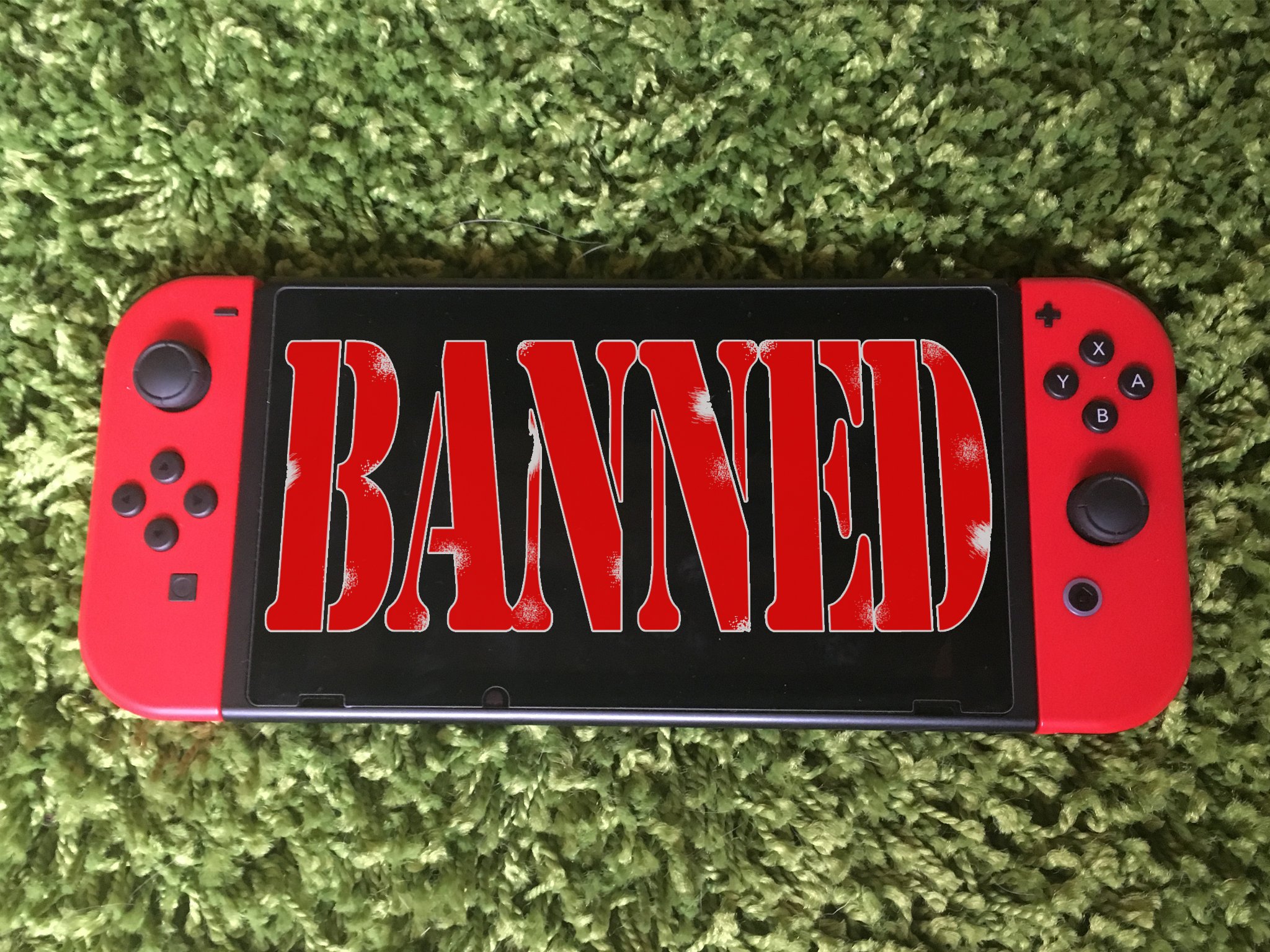 nintendo switch online ban