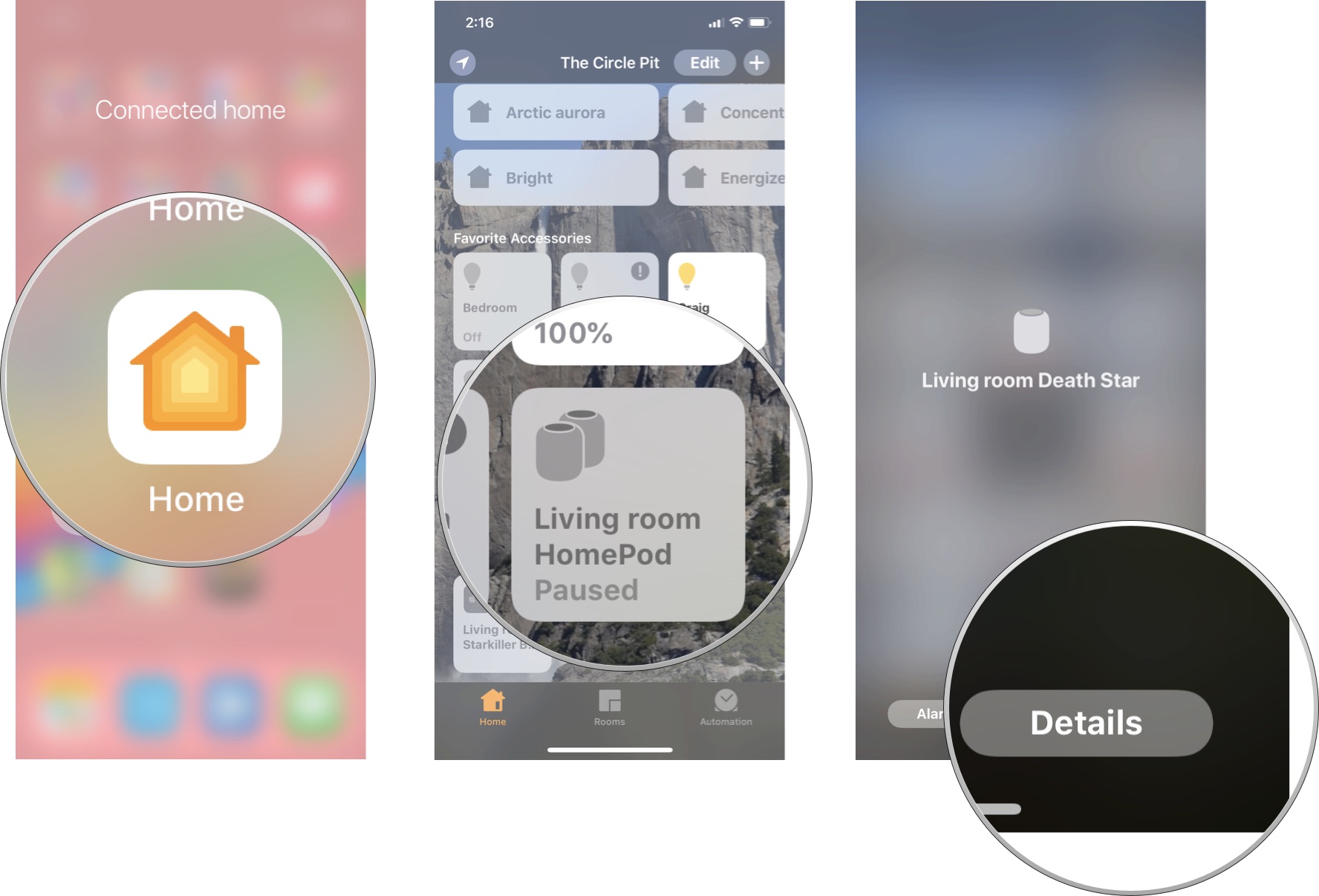 Launch the Home app, then tap your HomePod, then tap Details