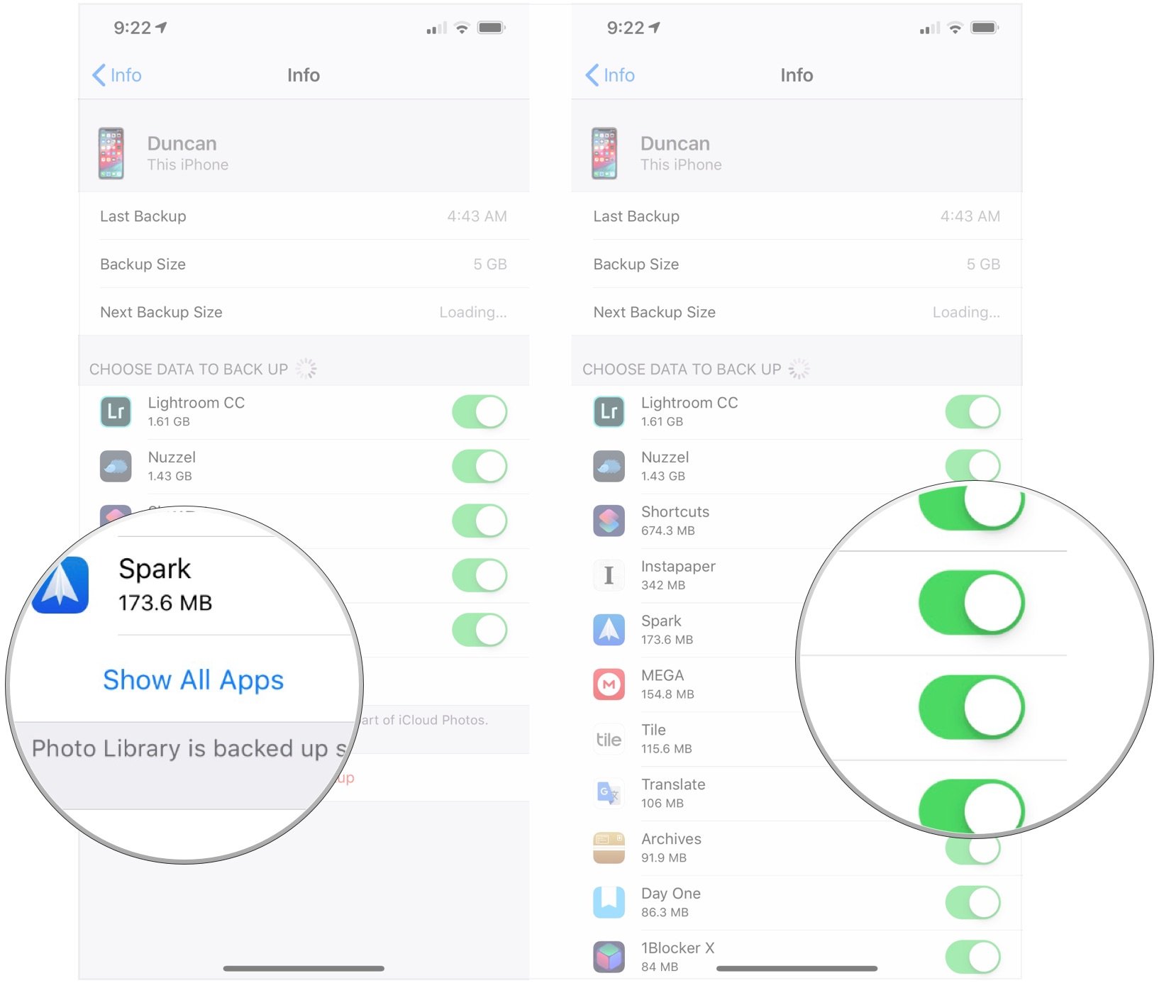 Choose what app data gets backed up to iCloud for iPhone by showing: Tap show all apps, tap switches