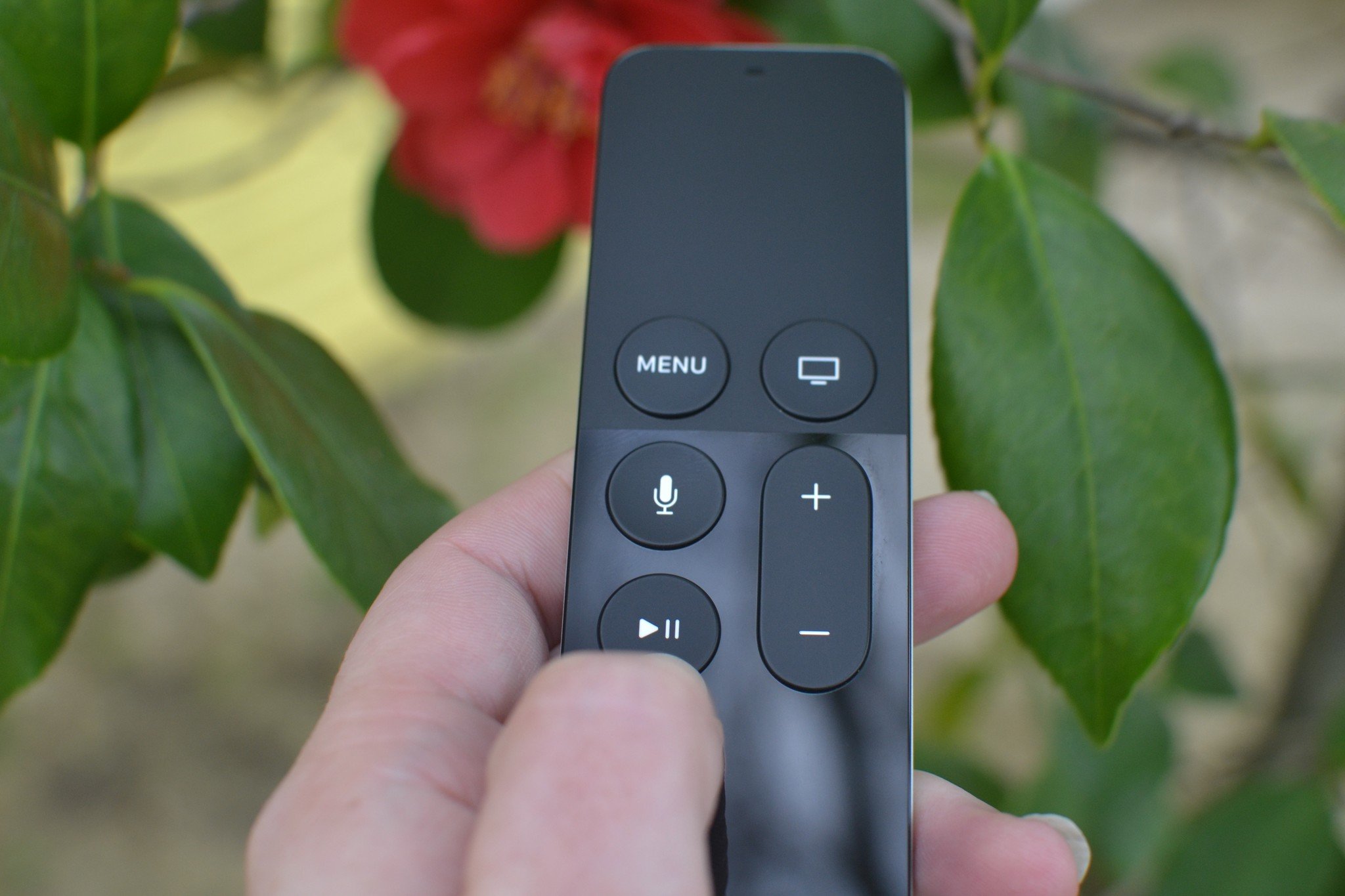 Play/Pause button on the Siri Remote